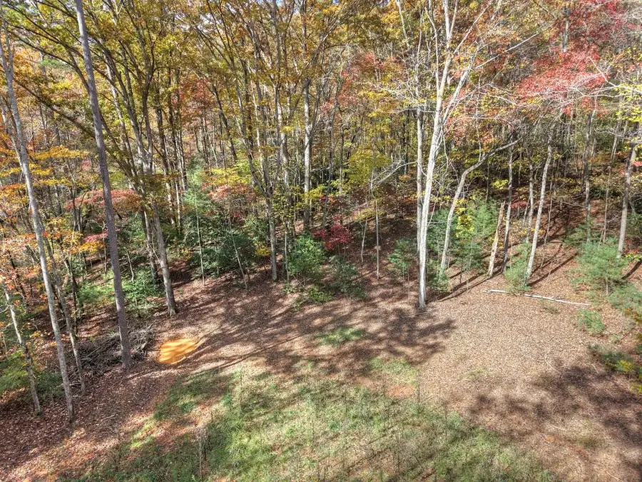 0 Pinelog Road, Young Harris, GA 30582 - Image #3