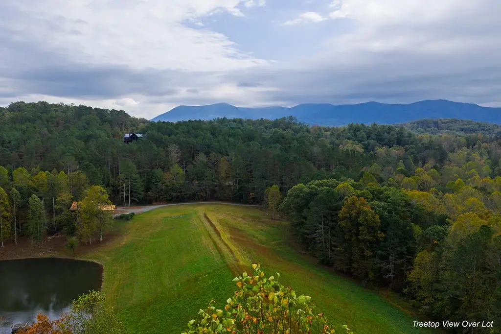 Lot 81 Lillie Drive, Ellijay, GA 30540 - Image #1