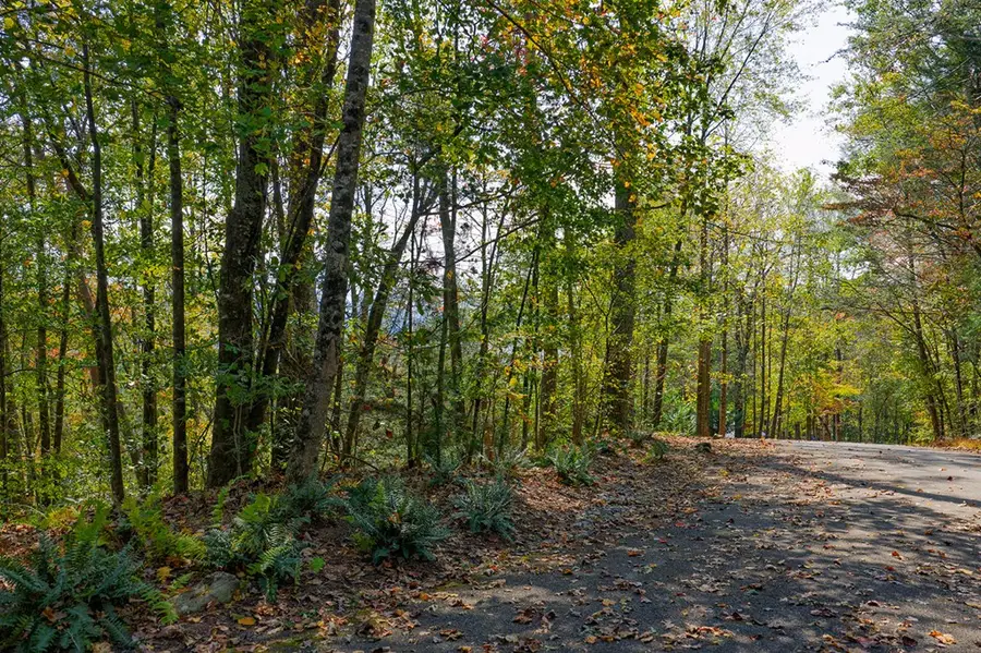 Lot 81 Lillie Drive, Ellijay, GA 30540 - Image #2