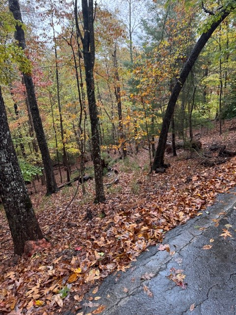 LT 264 Zenith Trail, Ellijay, GA 30540 - Image #2