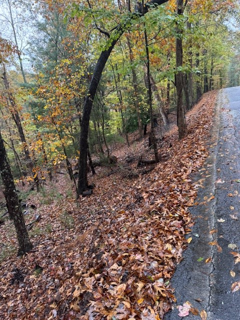 LT 264 Zenith Trail, Ellijay, GA 30540 - Image #3