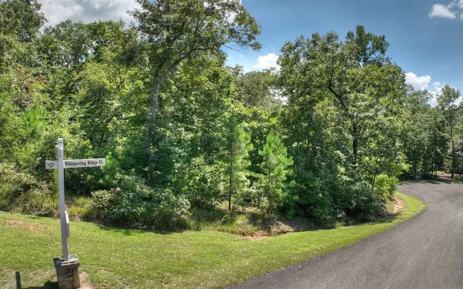 136 Whispering Ridge Court, Ellijay, GA 30540 - #2