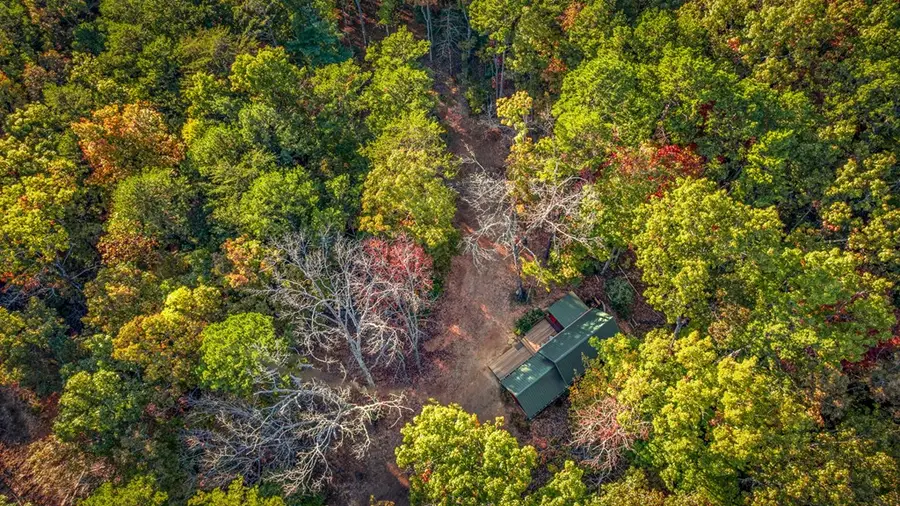 470 Mount Carmel Trail, Morganton, GA 30560 - Image #3