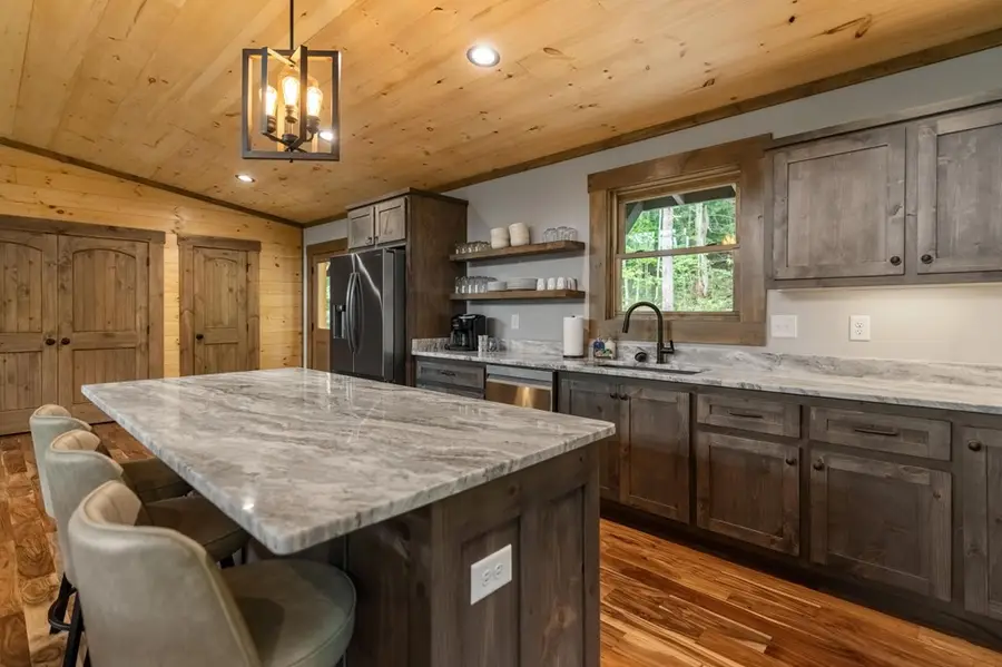 171 Cohutta Overlook Lane, Blue Ridge, GA 30513 - Image #3