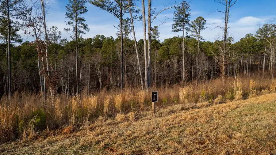 Lot 177 Shallow Water Way, Talking Rock, GA 30175 - #3