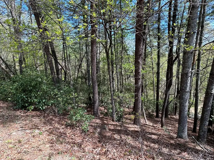 LT699 Choctaw Drive, Ellijay, GA 30540 - Image #2