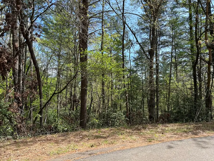 LT699 Choctaw Drive, Ellijay, GA 30540 - Image #3