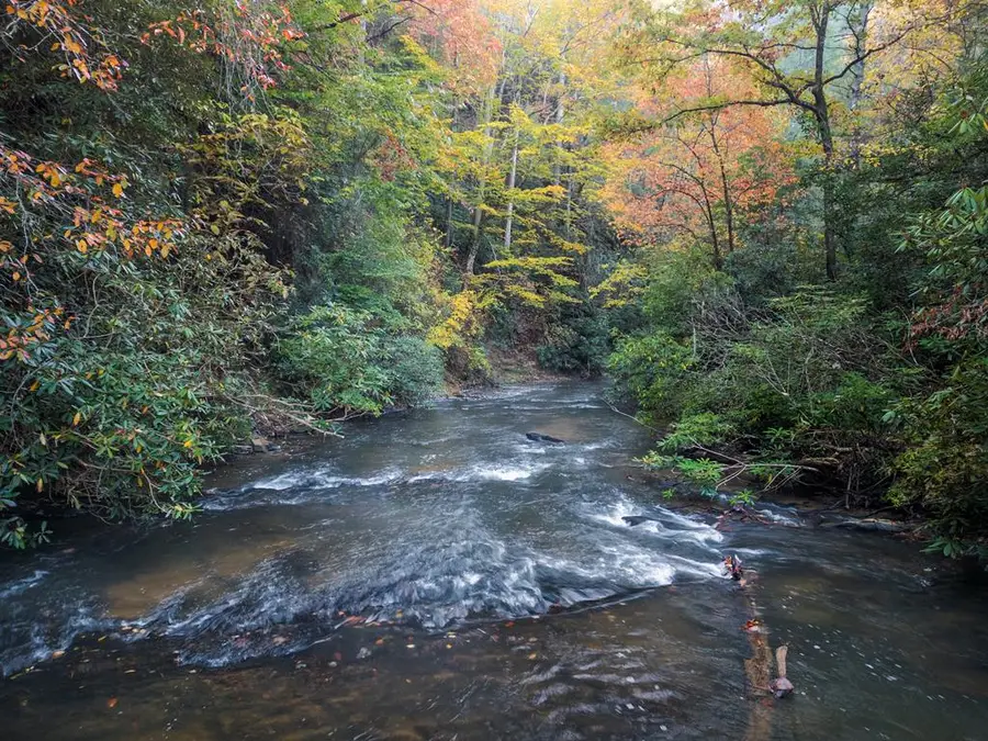 27 Riverview Lane, Cherry Log, GA 30522 - #3