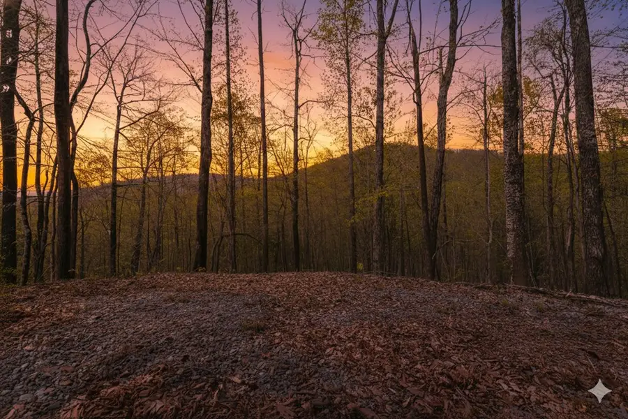 29 AC Hidden Valley Drive, Ellijay, GA 30536 - #3