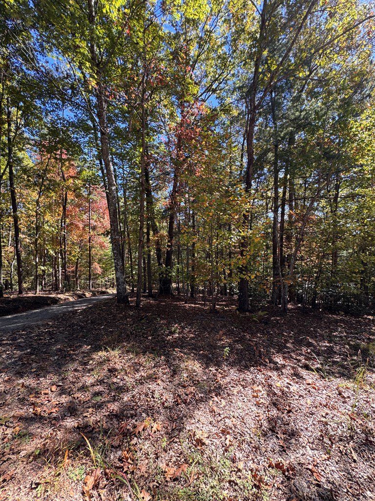 000 Hwy 294, Murphy, NC 28906 - Image #2