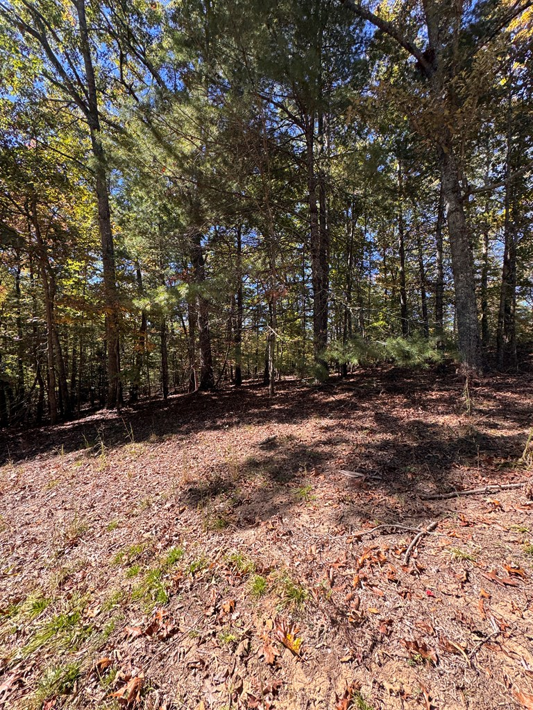 000 Hwy 294, Murphy, NC 28906 - Image #3