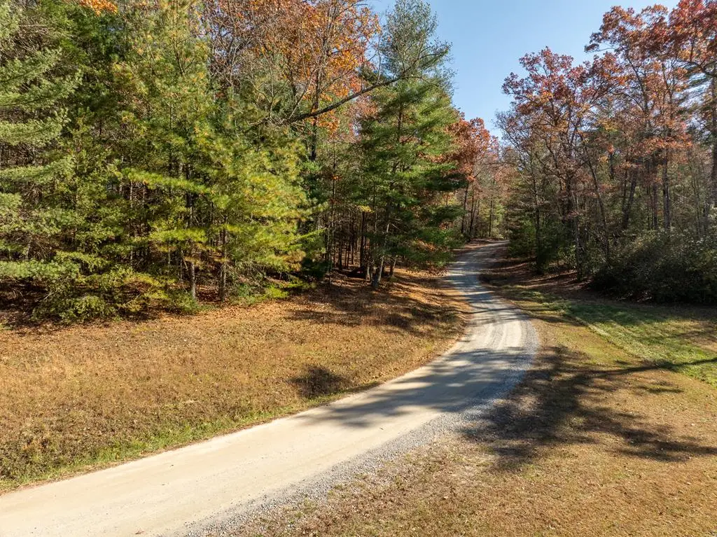 Lot 35 Spring Camp Road, Ellijay, GA 30536 - #1