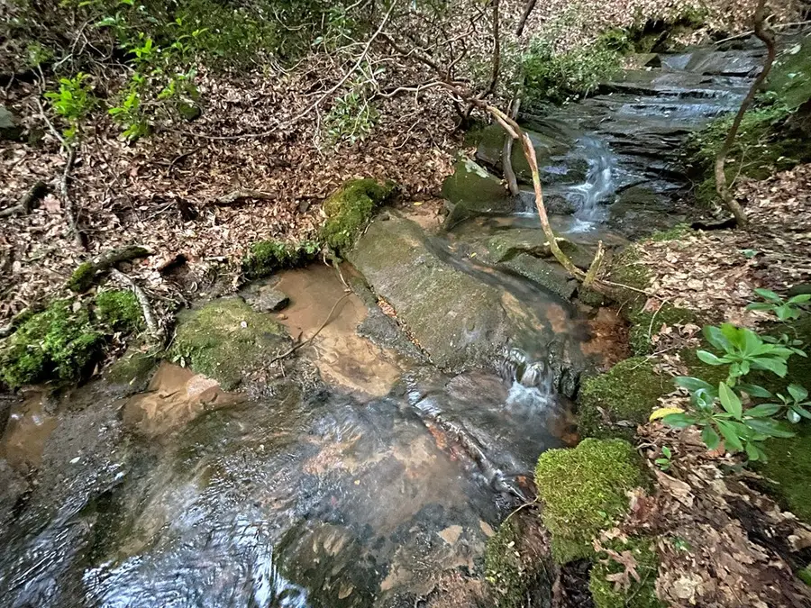 2.72 Kristin Lane, Ellijay, GA 30540 - Image #3