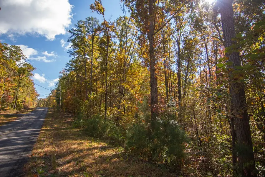 Lot 24 Ridgeway Church Road, Ellijay, GA 30540 - Image #2