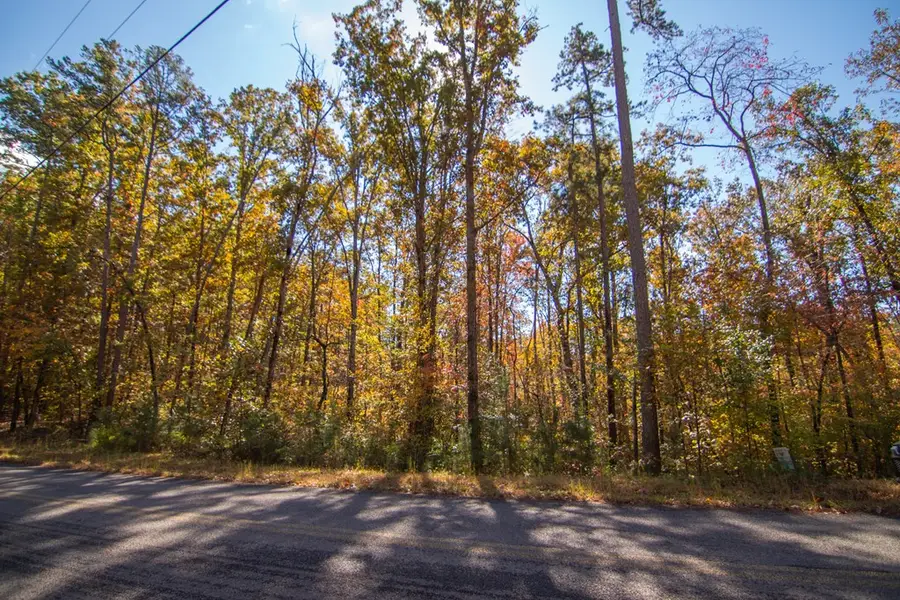 Lot 24 Ridgeway Church Road, Ellijay, GA 30540 - Image #3