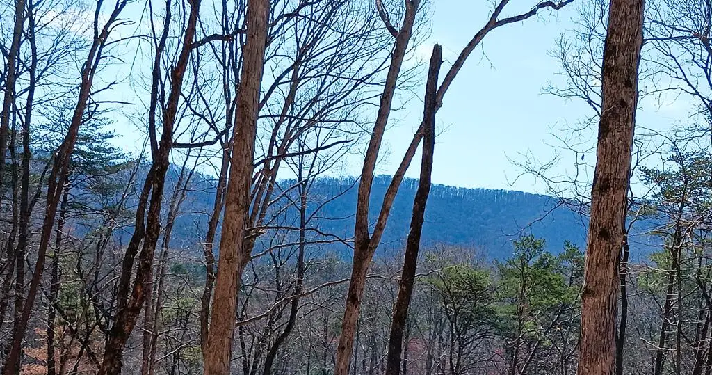 Lot 1A Colbert Mountain Road, Blue Ridge, GA 30513 - Image #1