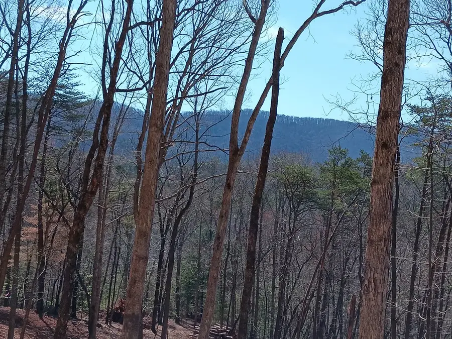 Lot 1A Colbert Mountain Road, Blue Ridge, GA 30513 - Image #3