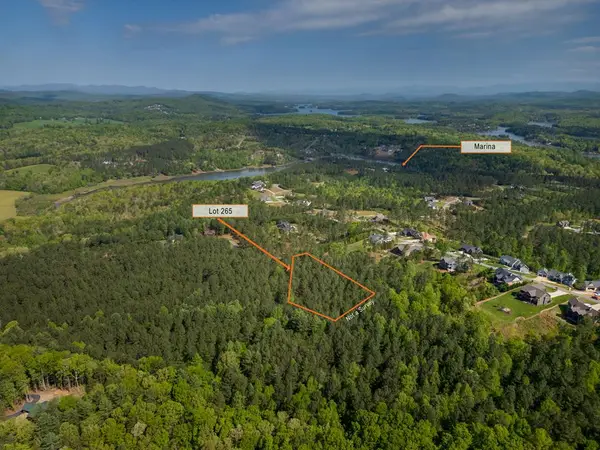 Lot 265 Thirteen Hundred S/d, Blairsville, GA 30512