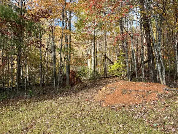39 Acres Hedden Stiles Road, Murphy, NC 28906