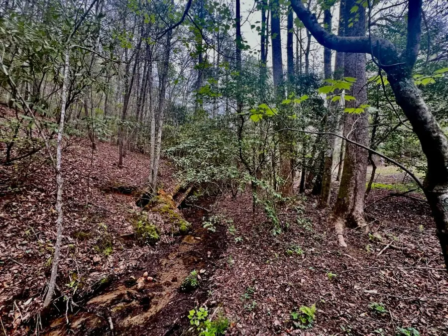 16378 Hwy 64, Murphy, NC 28906 - Image #2