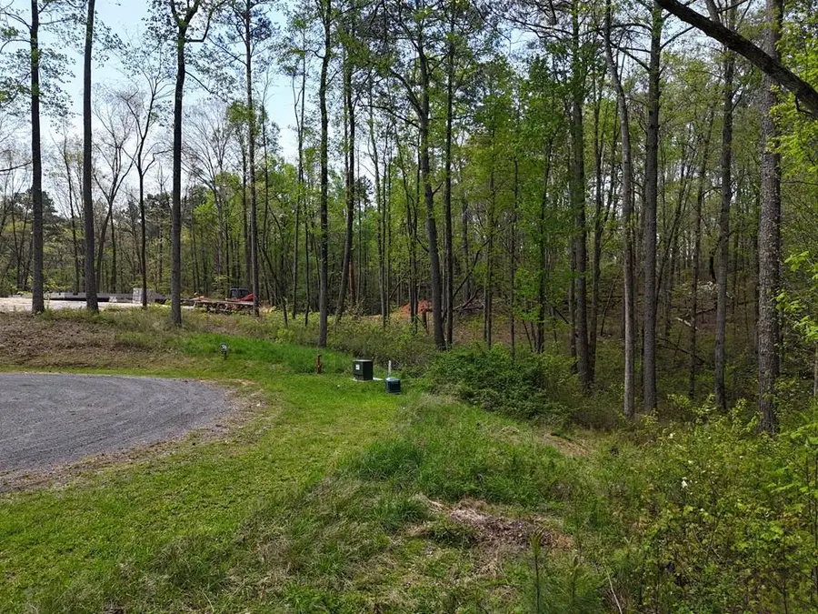 Lot 36R Hilton Drive, Ellijay, GA 30540 - #2