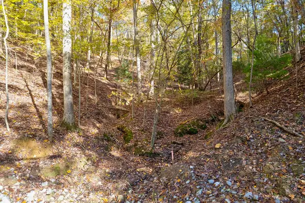 1.14 AC Parker Way, Ellijay, GA 30540