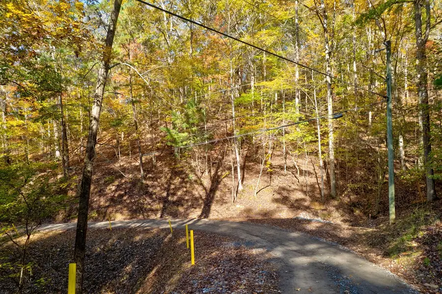 1.14 AC Parker Way, Ellijay, GA 30540 - Image #2