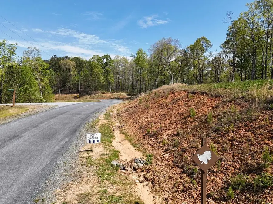 Lot 20 Blalock Mountain Road, Ellijay, GA 30540 - #2
