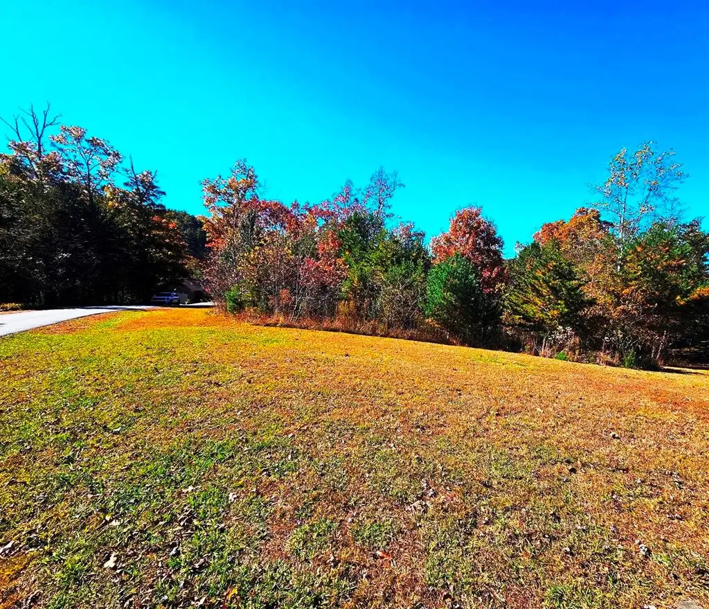 Lot 100 NE Pin Oak Ridge, Murphy, NC 28906 - Image #1