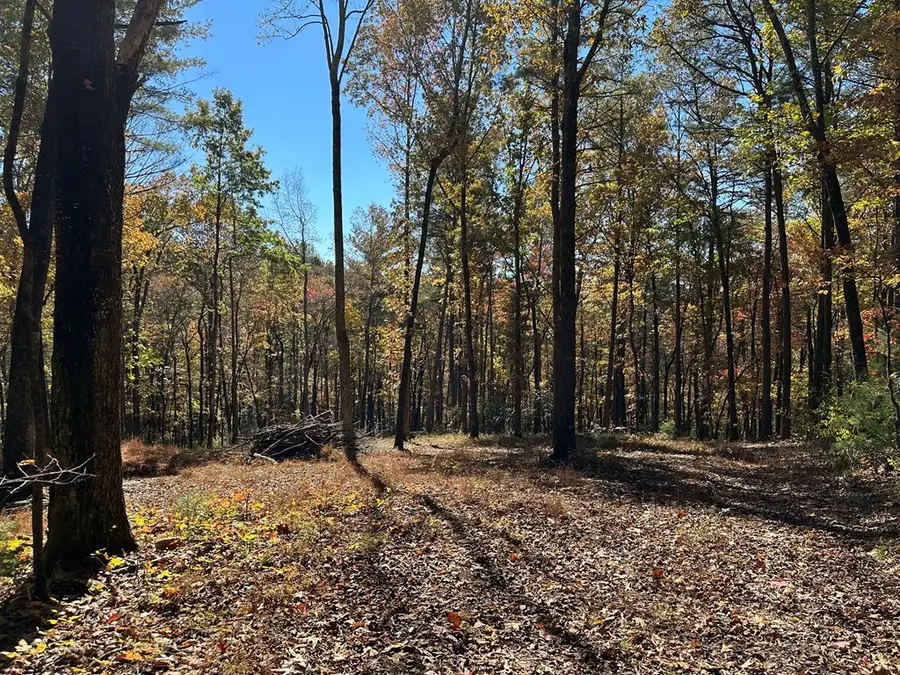 00 Stover Creek, Blue Ridge, GA 30513 - Image #3