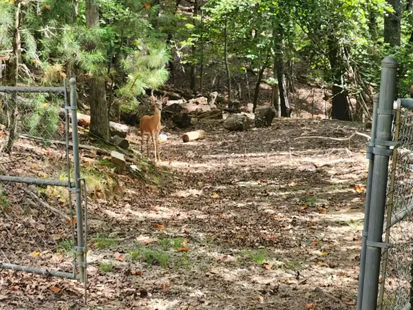 19B/2545 Frigate Drive, Ellijay, GA 30540