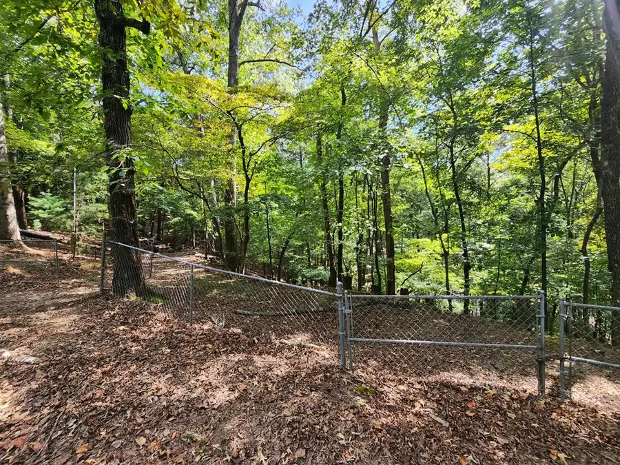 19B/2545 Frigate Drive, Ellijay, GA 30540 - Image #2