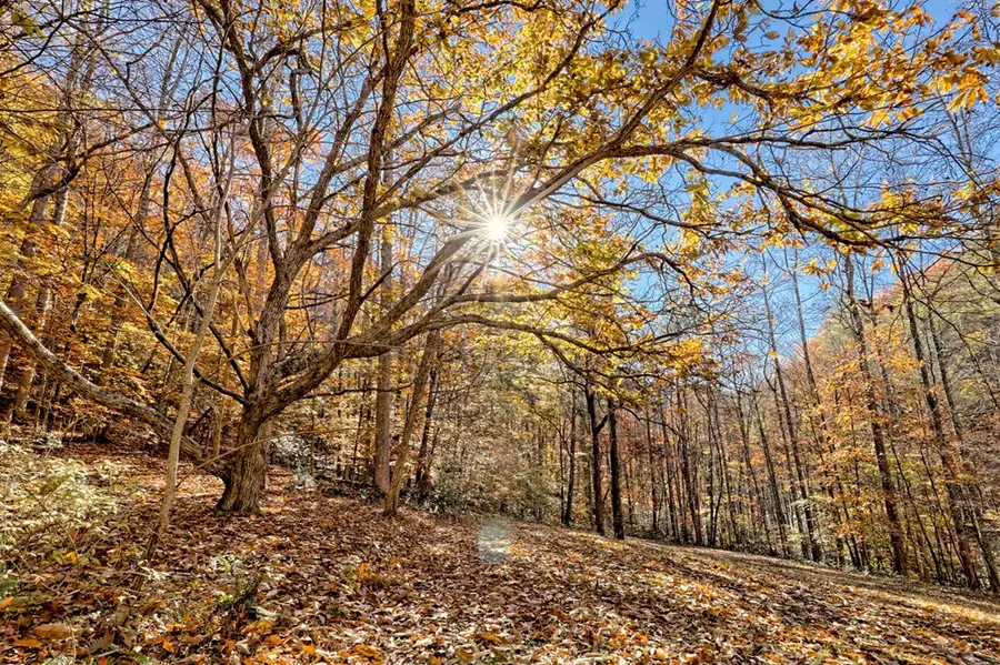 1307 Clear Creek Road, Hayesville, NC 28904 - Image #3