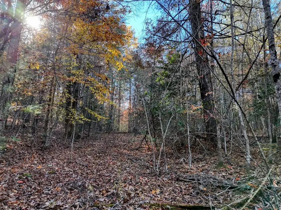 2.28 ac Midway Creek Road, Murphy, NC 28906 - Image #2