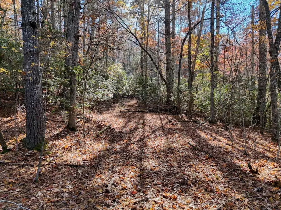 2.28 ac Midway Creek Road, Murphy, NC 28906 - Image #3