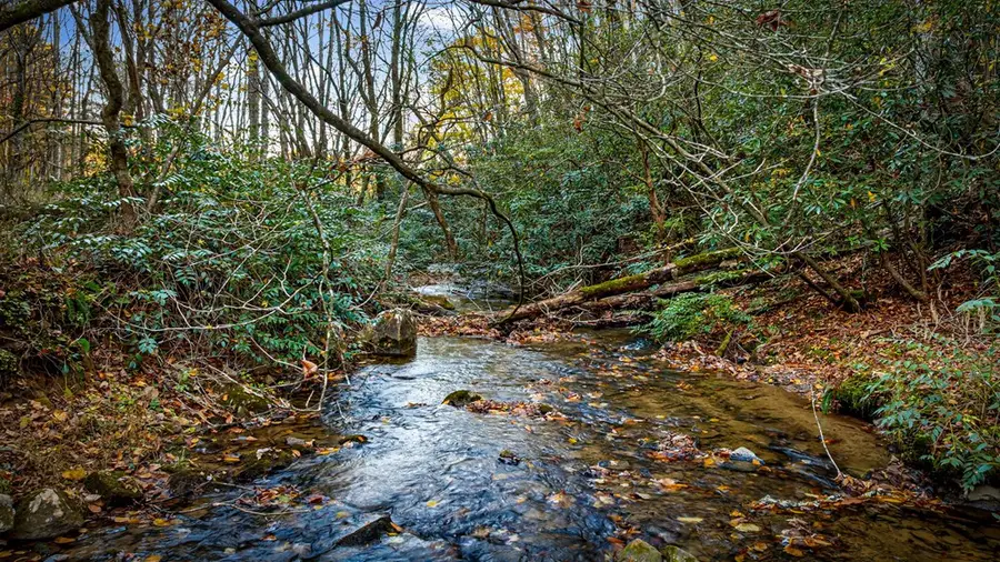 90 Hay Lane, Morganton, GA 30560 - #2