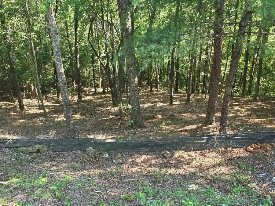 92 Cedar Road, Ellijay, GA 30540 - #3