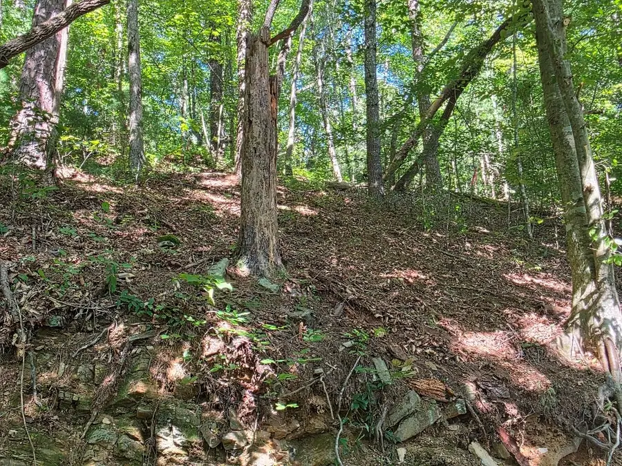 101 Cedar Road, Ellijay, GA 30540 - Image #2