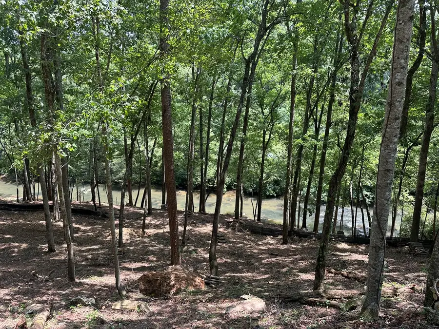 9 Roaring Forks Lane, Ellijay, GA 30540 - Image #3