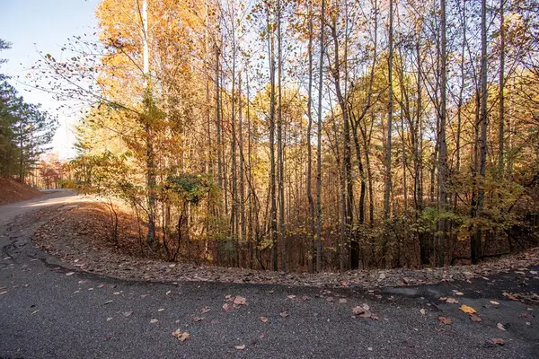 Lot 66 Choctaw Ridge Trail, Murphy, NC 28906