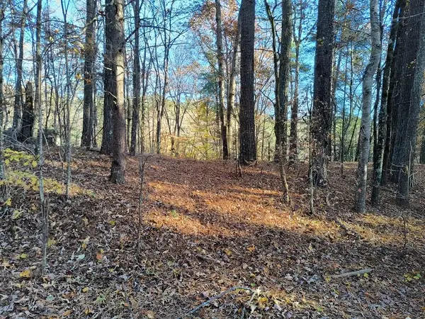 Lot 267 Novel Ct., Ellijay, GA 30540