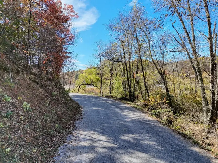 2.24 AC Lower Star Creek Road, Morganton, GA 30560 - #3