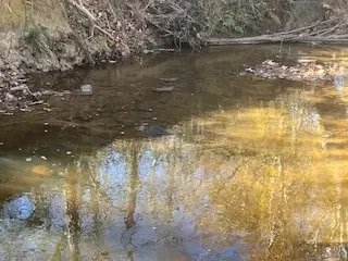 0 Julius Bridge Road, Ball Ground, GA 30107 - Image #3