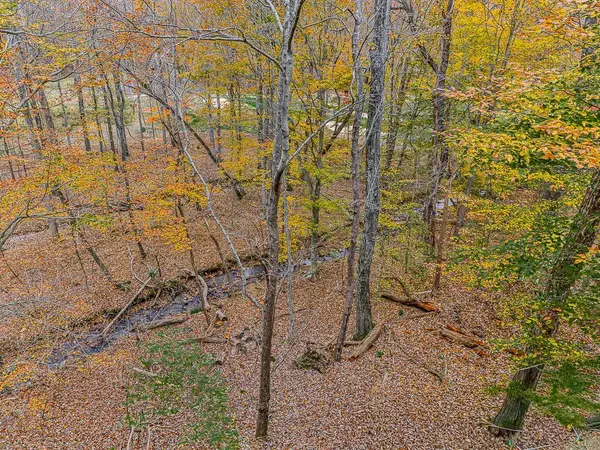 617 Crippled Oak Trail, Jasper, GA 30143