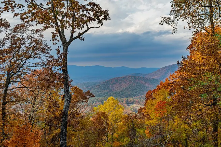 333 Walnut Rdg, Ellijay, GA 30536 - Image #3