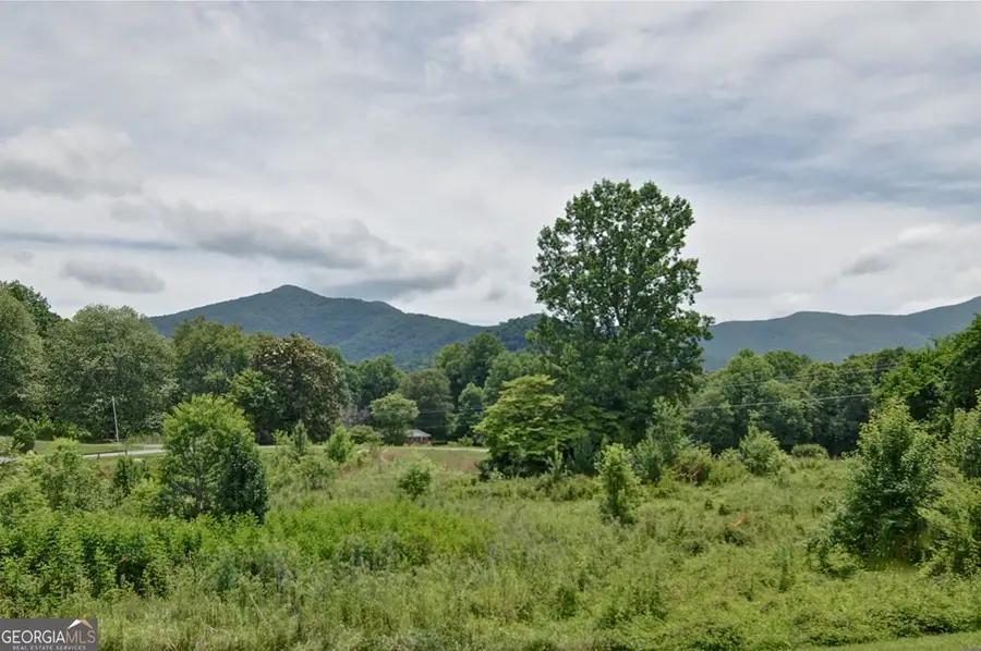 2165 Townsend Mill Road, Young Harris, GA 30582 - #3