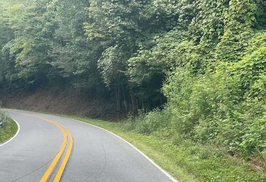 00 Cold Branch Road, Hayesville, NC 28904 - Image #3