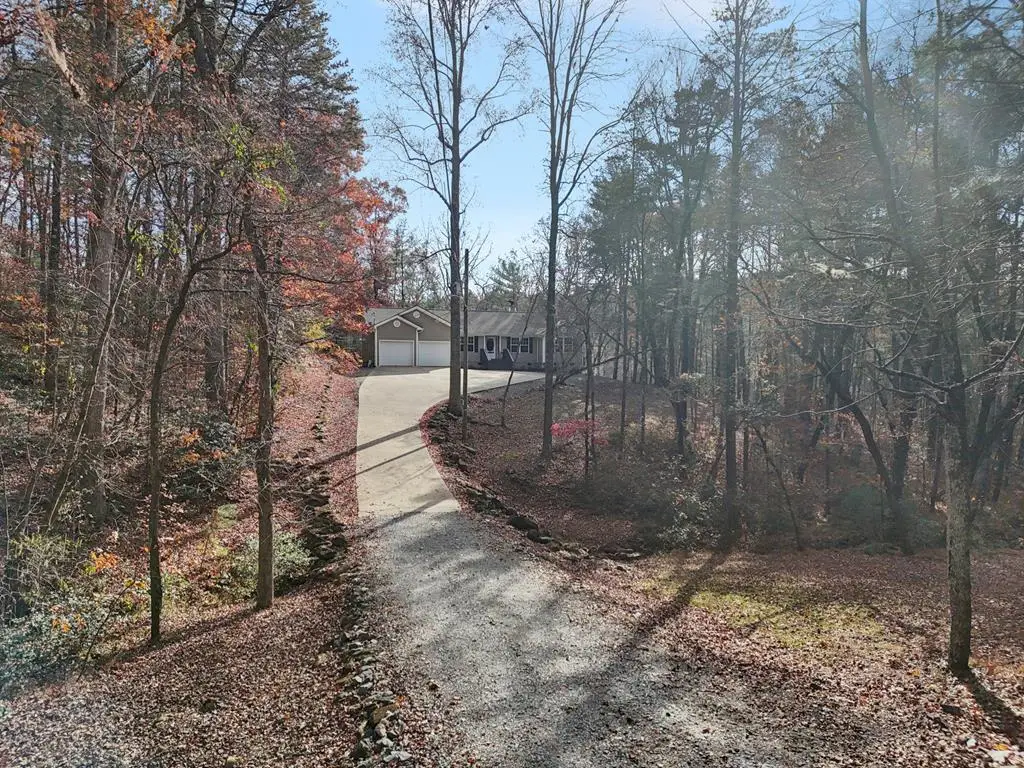 4542 Clear Creek, Ellijay, GA 30536 - #1