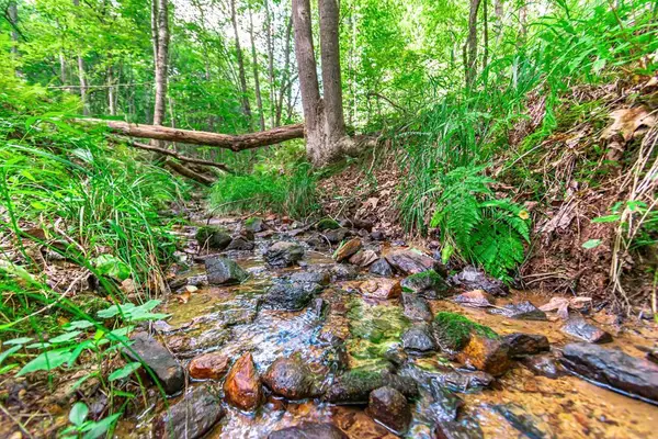 Lot 22 Meadow Brook Trail, Morganton, GA 30560