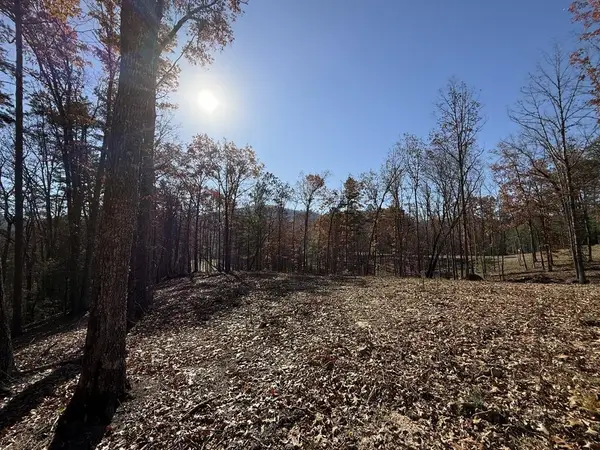 Lot 24 Crestview Point, Mineral Bluff, GA 30559
